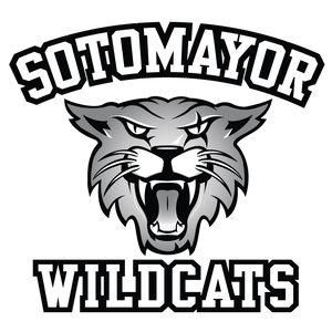 Team Page: Sotomayor High School